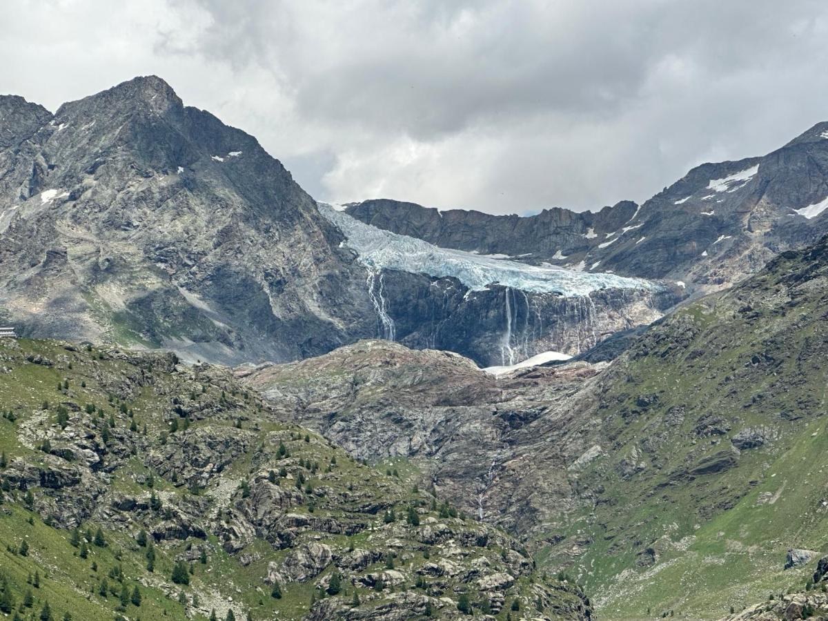 Snowlodge Valmalenco Caspoggio Dış mekan fotoğraf